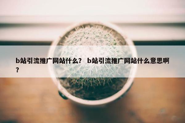 b站引流推广网站什么？ b站引流推广网站什么意思啊？