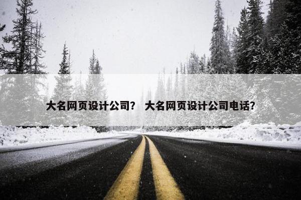 大名网页设计公司？ 大名网页设计公司电话？
