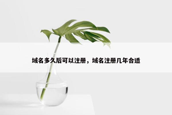 域名多久后可以注册，域名注册几年合适