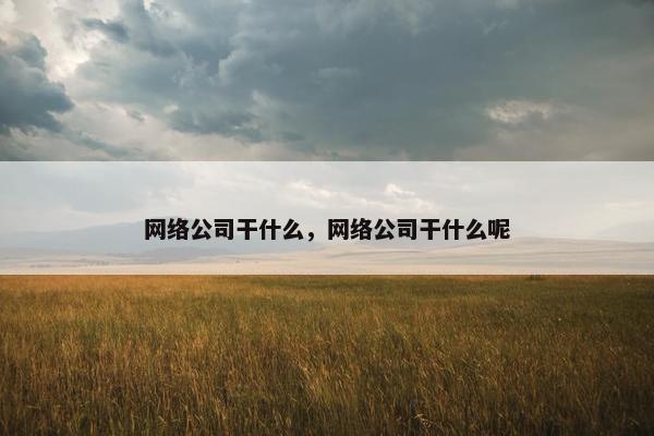 网络公司干什么，网络公司干什么呢