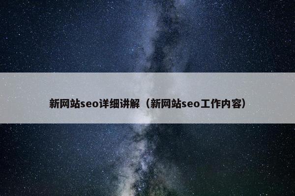 新网站seo详细讲解（新网站seo工作内容）