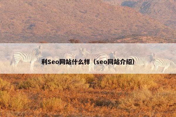 利Seo网站什么样（seo网站介绍）
