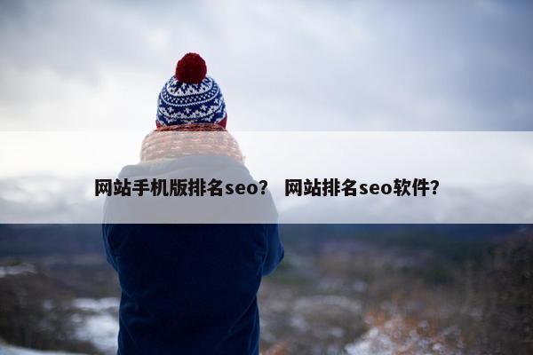 网站手机版排名seo？ 网站排名seo软件？